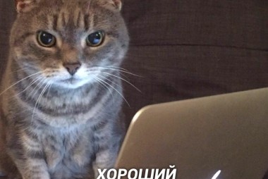 Видео салона Студия 73